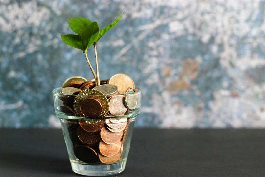 Pousse verte émergeant d'un verre rempli de pièces de monnaie, symbolisant la croissance financière.